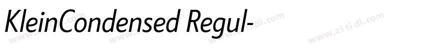 KleinCondensed Regul字体转换